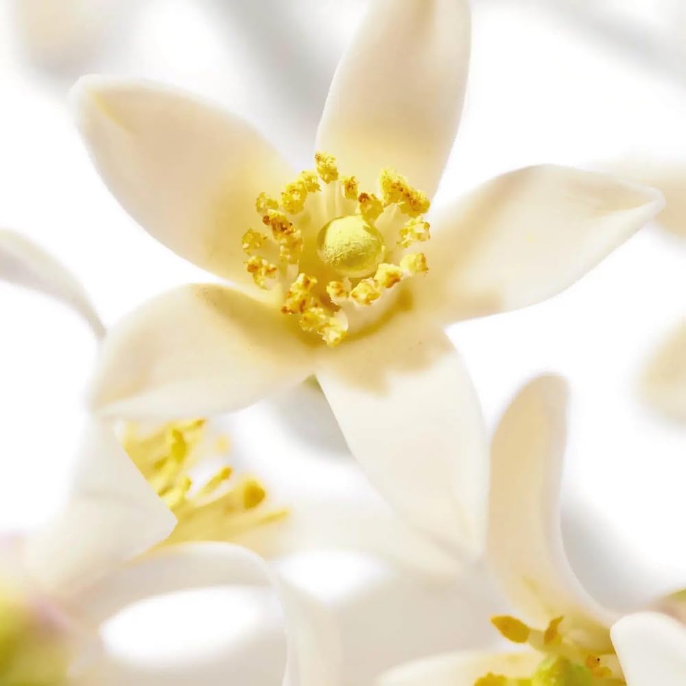 Nuxe Prodigieux Néroli Relaxing Shower Gel 200 ml