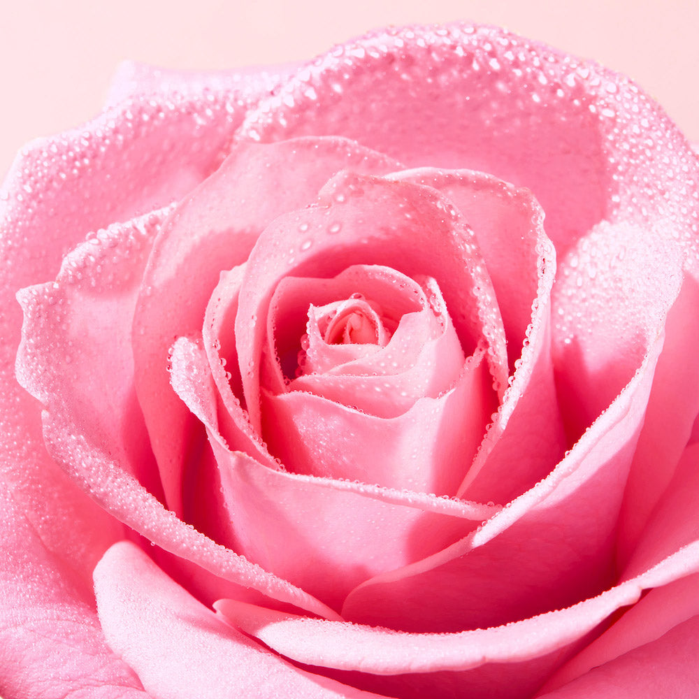 Nuxe Very Rose Delicate cleansing oil 150 ml